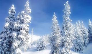 形容雪景的优美词语七句